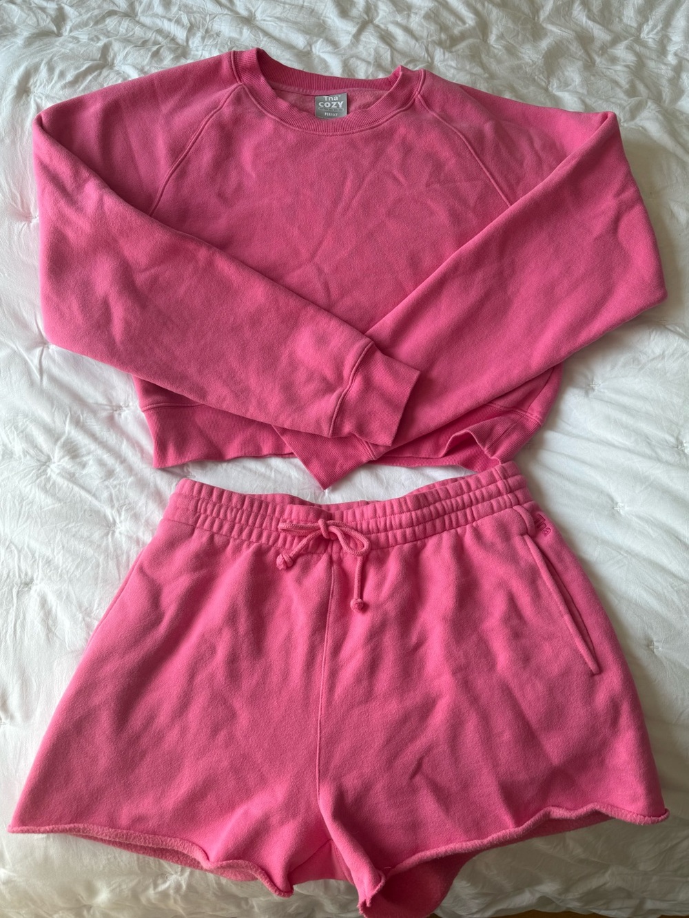 Aritzia/TNA Perfect Crewneck Sweatshirt & Boyfriend Shorts SET